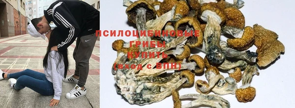 первитин Бородино