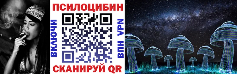 Галлюциногенные грибы прущие грибы  Мончегорск 